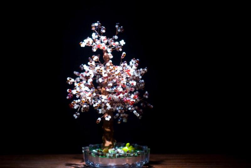 20100624__DSC3352.jpg