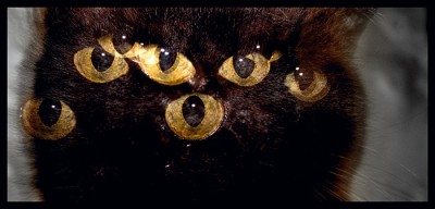 blacky2.jpg