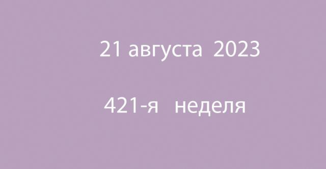 Метка 21 августа 2023