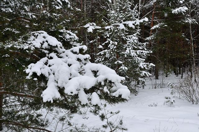 DSC_0253_01.JPG