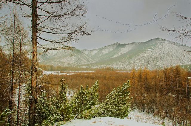 слышен крик каравана...