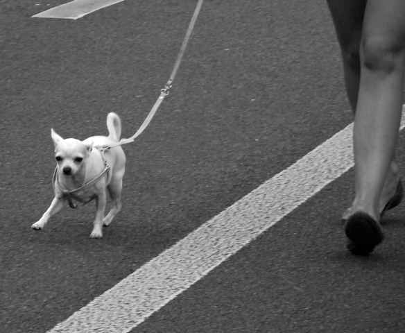 DSCF0241_1.jpg