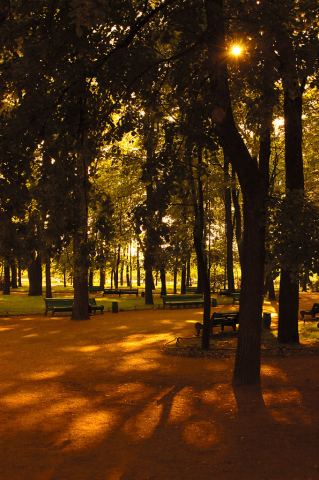 sp2007-251.jpg