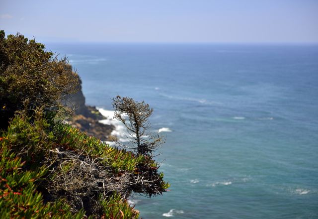 On the Edge
