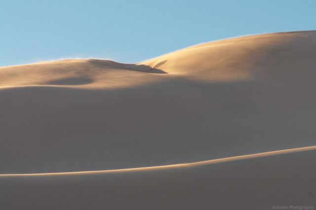 _DSC3999.jpg