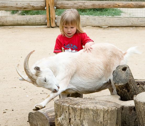 DSC_1186-2.jpg