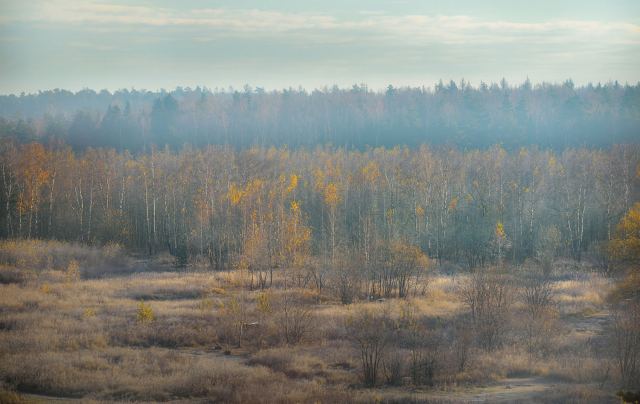 Осенние погоды