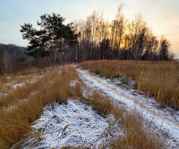 Лежбище.