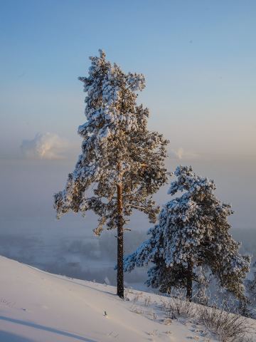 Якутск в тумане