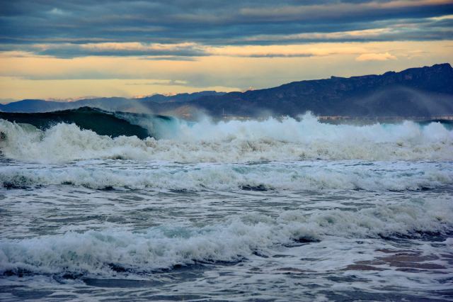_DSC3594.jpg