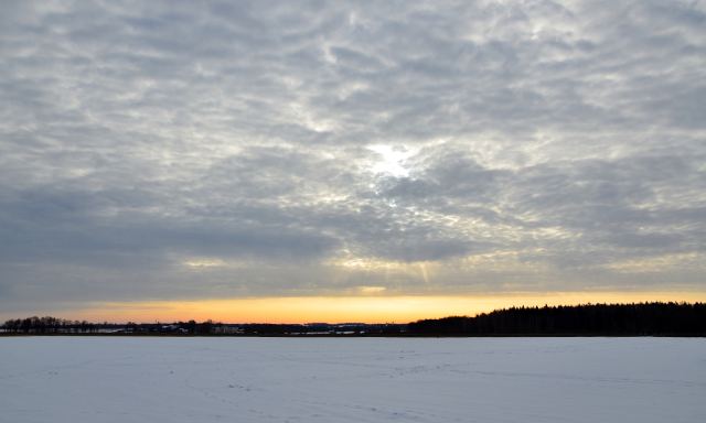 DSC_0226м.jpg