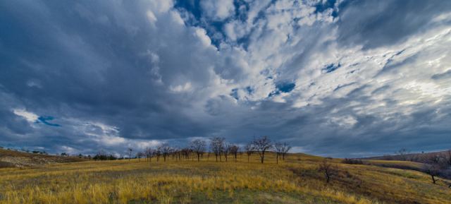 _DSC2442.jpg