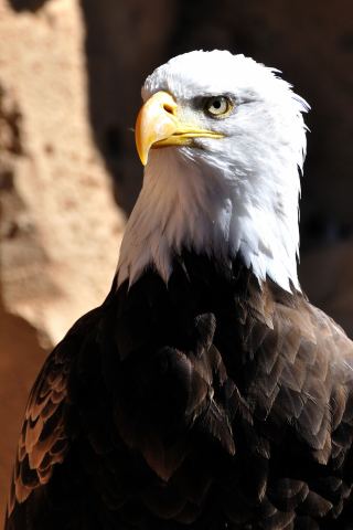 nikkor 70-300 3.jpg
