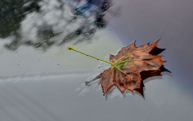 DSC_0011_2.jpg