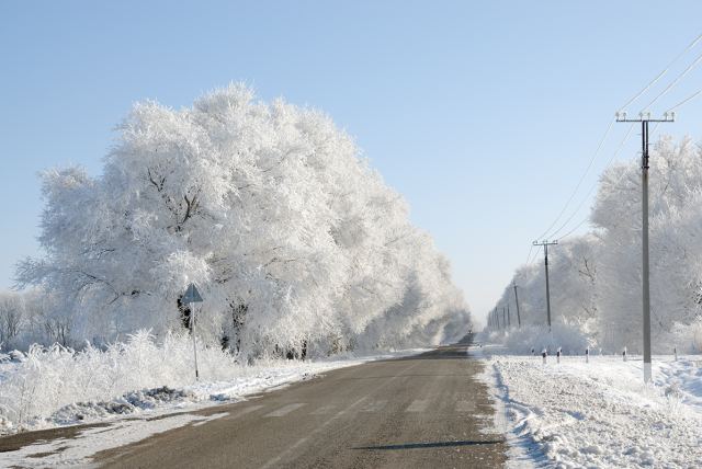 Подарок деда Мороза