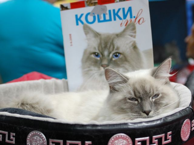 DSC_9496.jpg