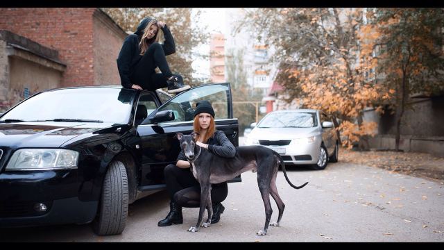 C собачкой.