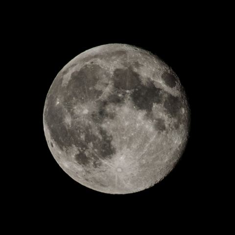 DSC_3138ee.jpg