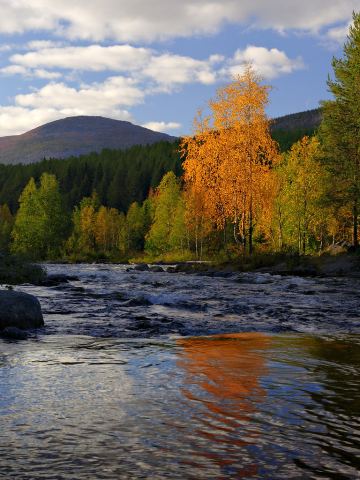 Сердце осени.