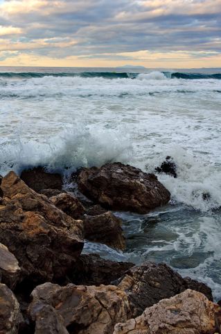 _DSC3553.jpg