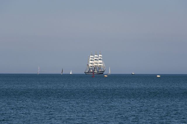 DSC_0637_1.jpg