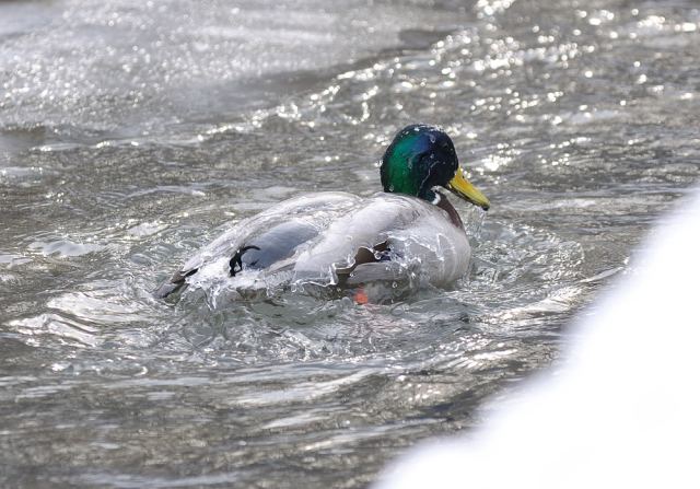 Водные процедуры