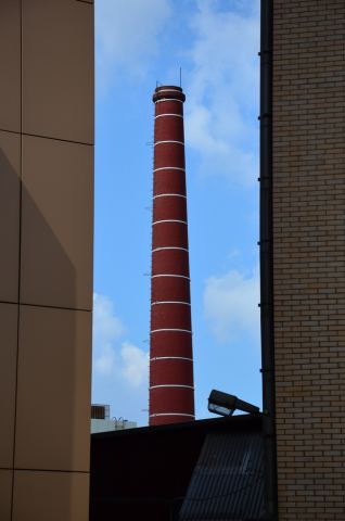 DSC_2790_Crop.jpg