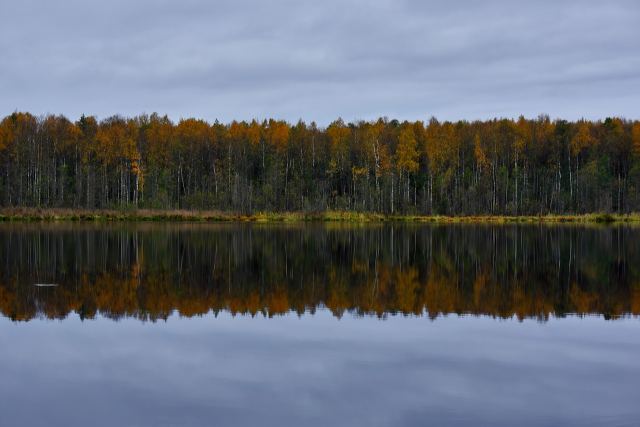 любительская фотка