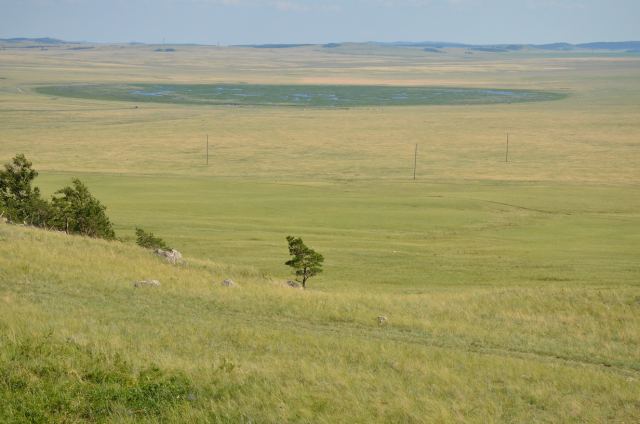 DSC_04701.jpg