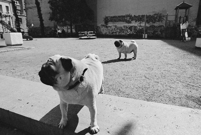***