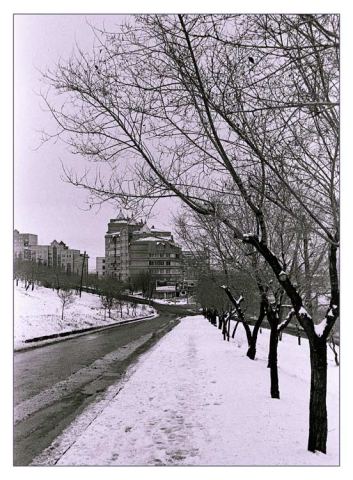 Последний снег
