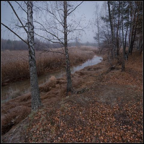Из иршанских этюдов...(41)